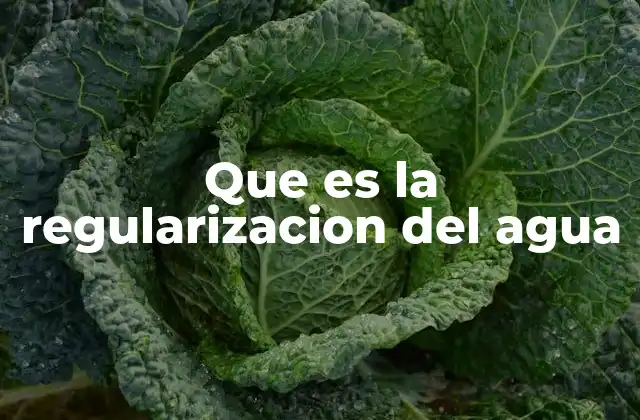 Que es la Regularizacion Del Agua