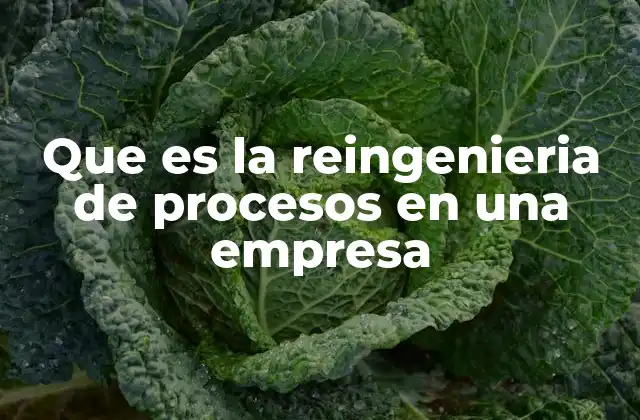 Que es la Reingenieria de Procesos en una Empresa