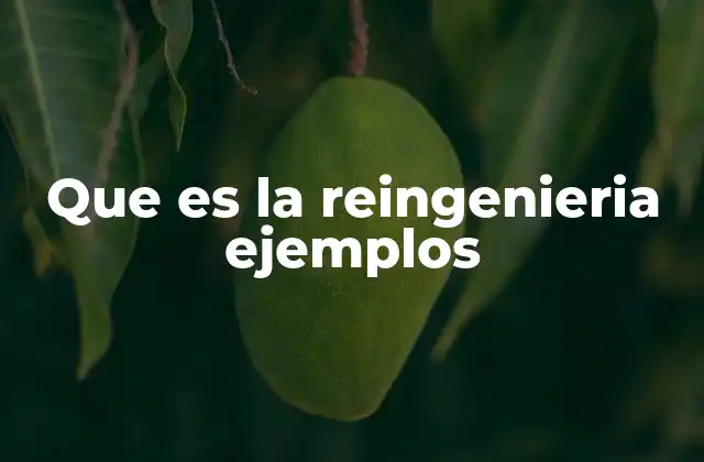 Que es la Reingenieria Ejemplos
