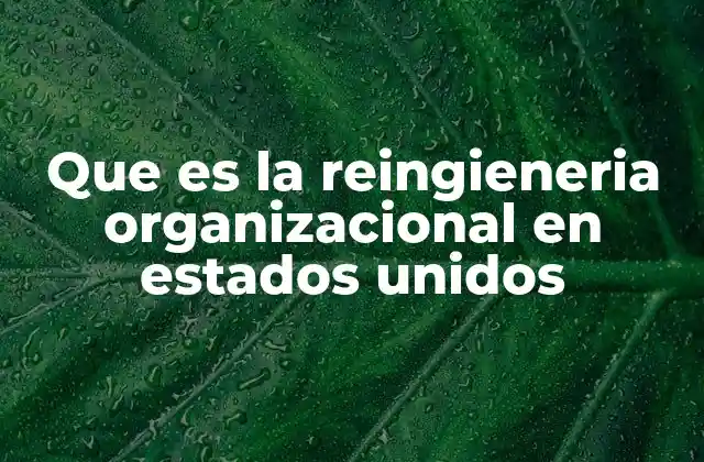 Que es la Reingieneria Organizacional en Estados Unidos
