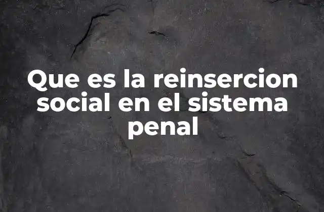 Que es la Reinsercion Social en el Sistema Penal