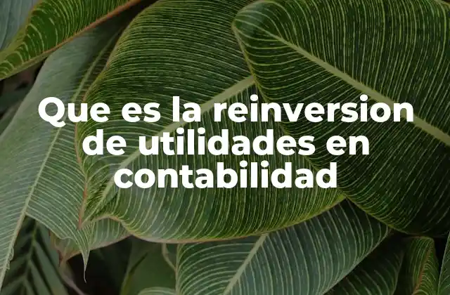 Que es la Reinversion de Utilidades en Contabilidad