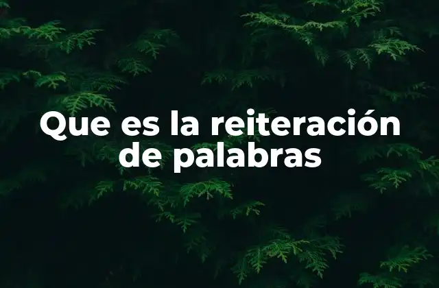 Que es la Reiteración de Palabras