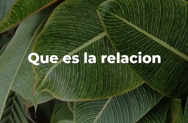 Que es la Relacion