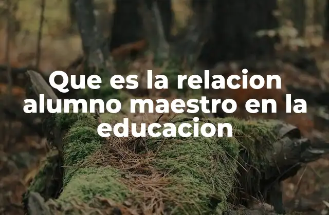 Que es la Relacion Alumno Maestro en la Educacion