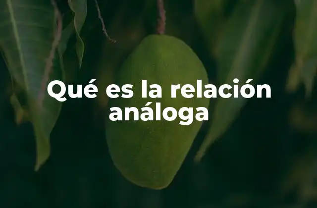 Qué es la Relación Análoga