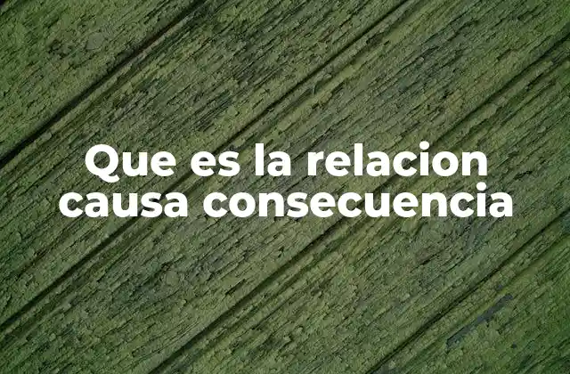 Que es la Relacion Causa Consecuencia