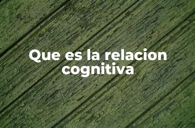 Que es la Relacion Cognitiva 2 Cómo las relaciones cognitivas influyen en el aprendizaje