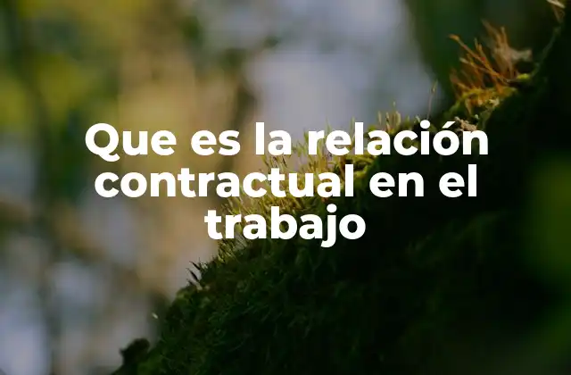 Que es la Relación Contractual en el Trabajo