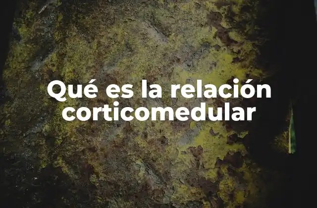 Qué es la Relación Corticomedular