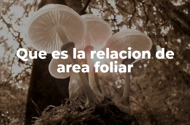 Que es la Relacion de Area Foliar