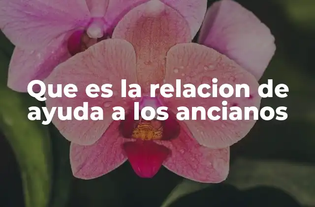 El apoyo intergeneracional como herramienta social