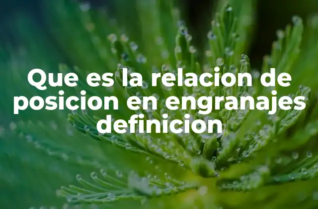 Que es la Relacion de Posicion en Engranajes Definicion
