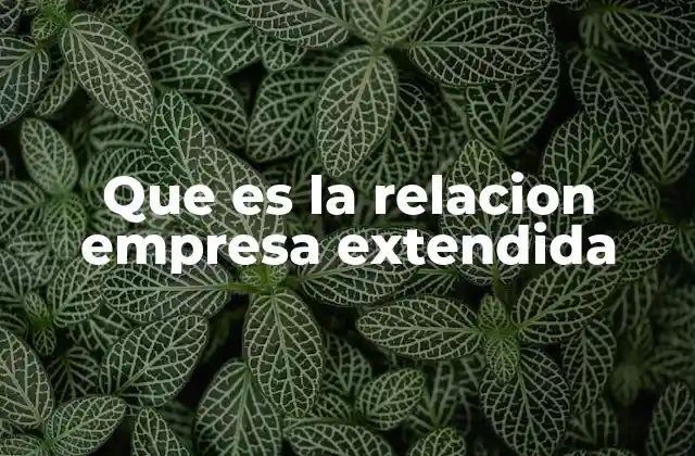 Que es la Relacion Empresa Extendida 2 La integración de redes en la economía moderna