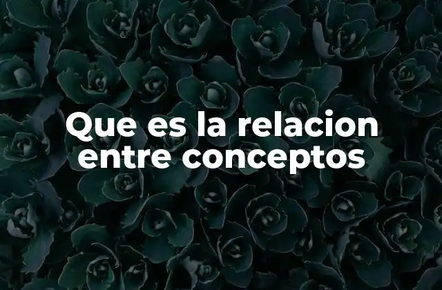 Que es la Relacion entre Conceptos
