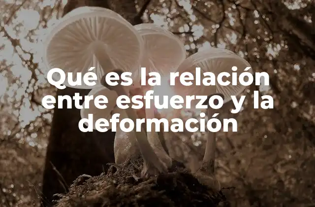 Qué es la Relación entre Esfuerzo y la Deformación