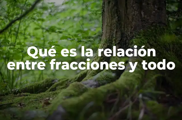 Qué es la Relación entre Fracciones y Todo