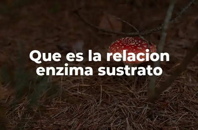 Que es la Relacion Enzima Sustrato