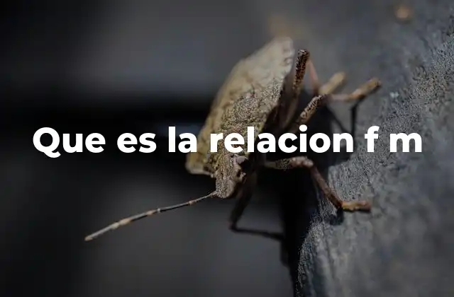 Que es la Relacion F M