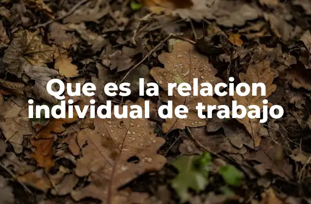 Que es la Relacion Individual de Trabajo