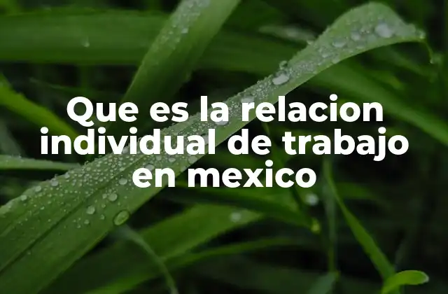Que es la Relacion Individual de Trabajo en Mexico 2 Tipos de relaciones laborales en el marco legal mexicano