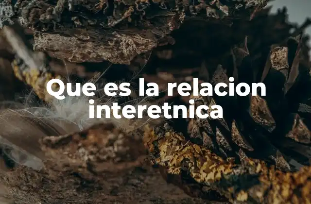 Que es la Relacion Interetnica