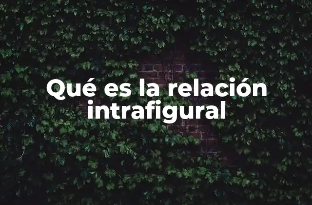 Qué es la Relación Intrafigural