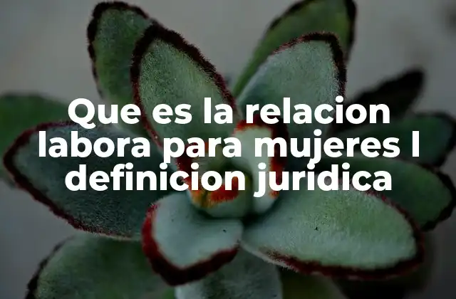 El marco legal que respalda la relación laboral femenina