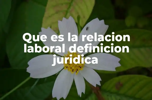 Que es la Relacion Laboral Definicion Juridica