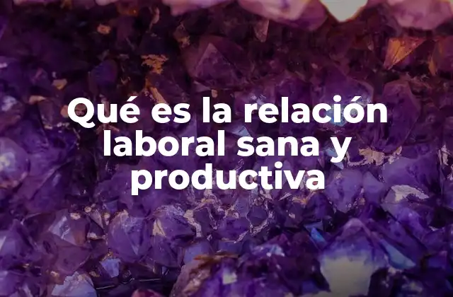 Qué es la Relación Laboral Sana y Productiva