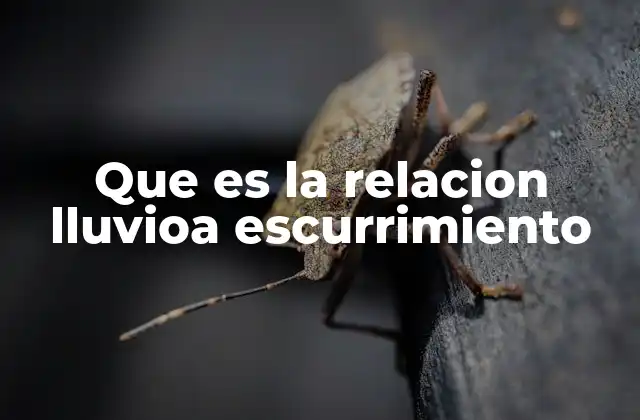 Que es la Relacion Lluvioa Escurrimiento