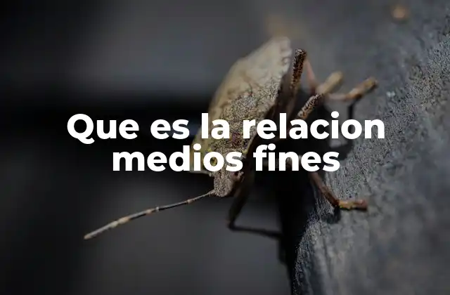 Que es la Relacion Medios Fines