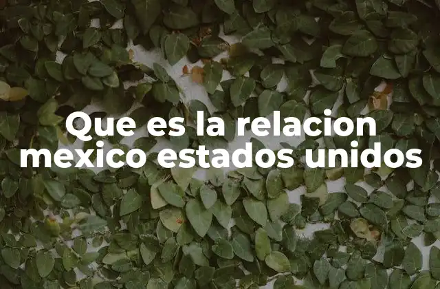 Que es la Relacion Mexico Estados Unidos