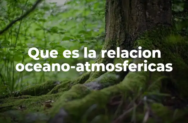 Que es la Relacion Oceano-atmosfericas