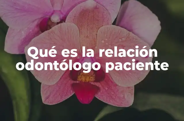 Qué es la Relación Odontólogo Paciente