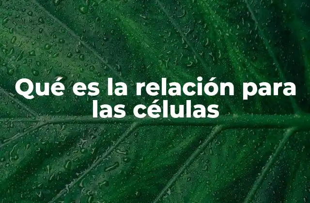 Qué es la Relación para las Células