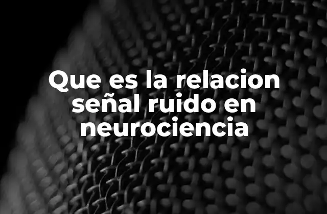 Que es la Relacion Señal Ruido en Neurociencia 2 Cómo la relación señal-ruido afecta la interpretación de datos cerebrales