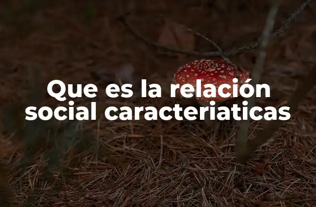 Cómo las relaciones sociales impactan en el desarrollo humano