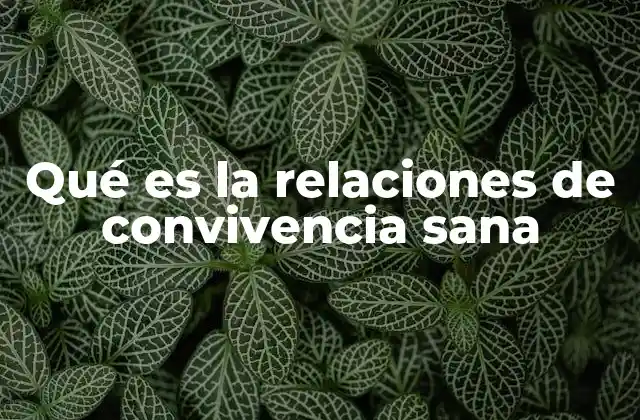 Qué es la Relaciones de Convivencia Sana 2 La importancia de construir relaciones armónicas en el entorno familiar