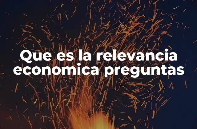 Que es la Relevancia Economica Preguntas