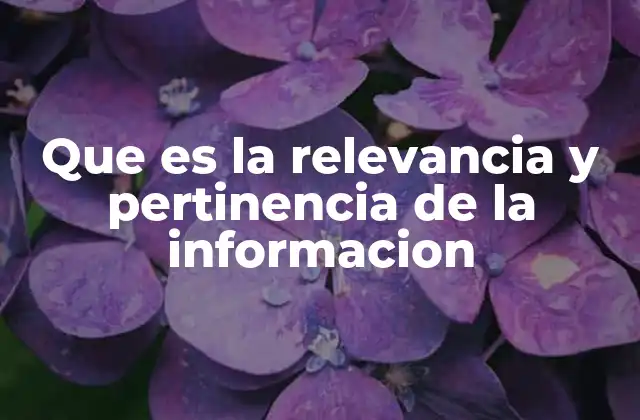 Que es la Relevancia y Pertinencia de la Informacion