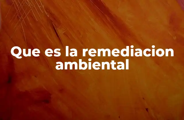 Que es la Remediacion Ambiental