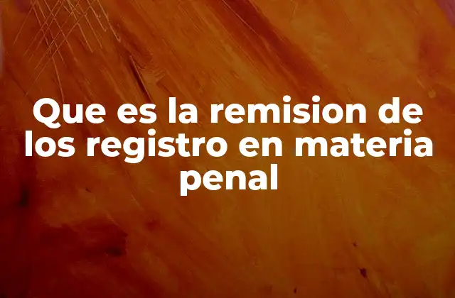 Que es la Remision de los Registro en Materia Penal