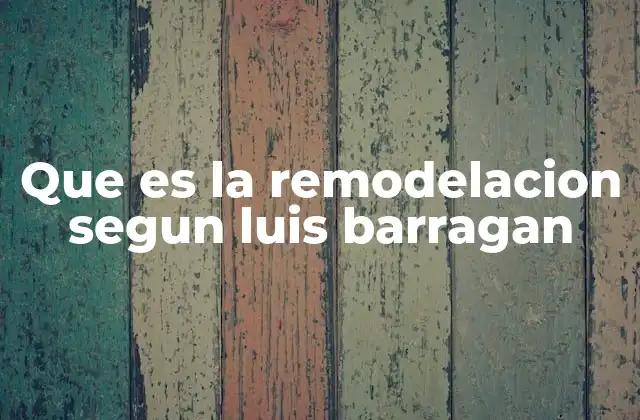 Que es la Remodelacion Segun Luis Barragan