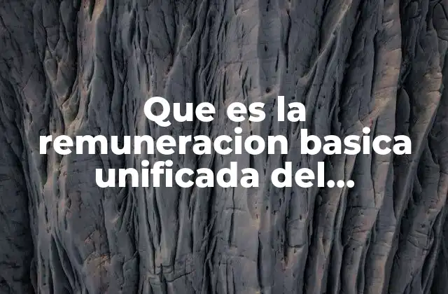 Que es la Remuneracion Basica Unificada Del Trabajador en General