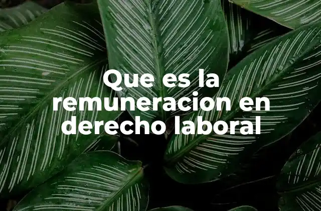 Que es la Remuneracion en Derecho Laboral