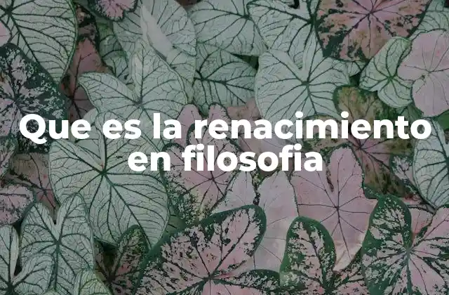 Que es la Renacimiento en Filosofia