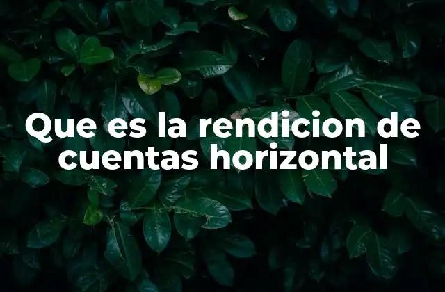 Que es la Rendicion de Cuentas Horizontal