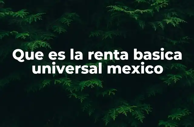 Que es la Renta Basica Universal Mexico
