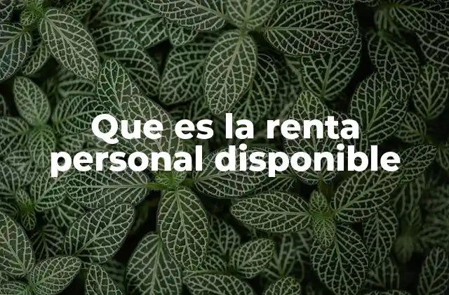 Que es la Renta Personal Disponible